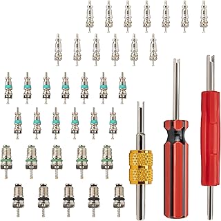 39 PCS Air Conditioning Valve Core Accessories Kit, R12 R134a Refrigeration Schrader Tire Valve Stem Cores with Single & Dual Heads Valve Core Remover Installer Tool, HVAC System Seal Caps Kit