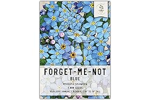 Forget Me Not Seeds: Tiny Azure Blooms Adorned with Memories
