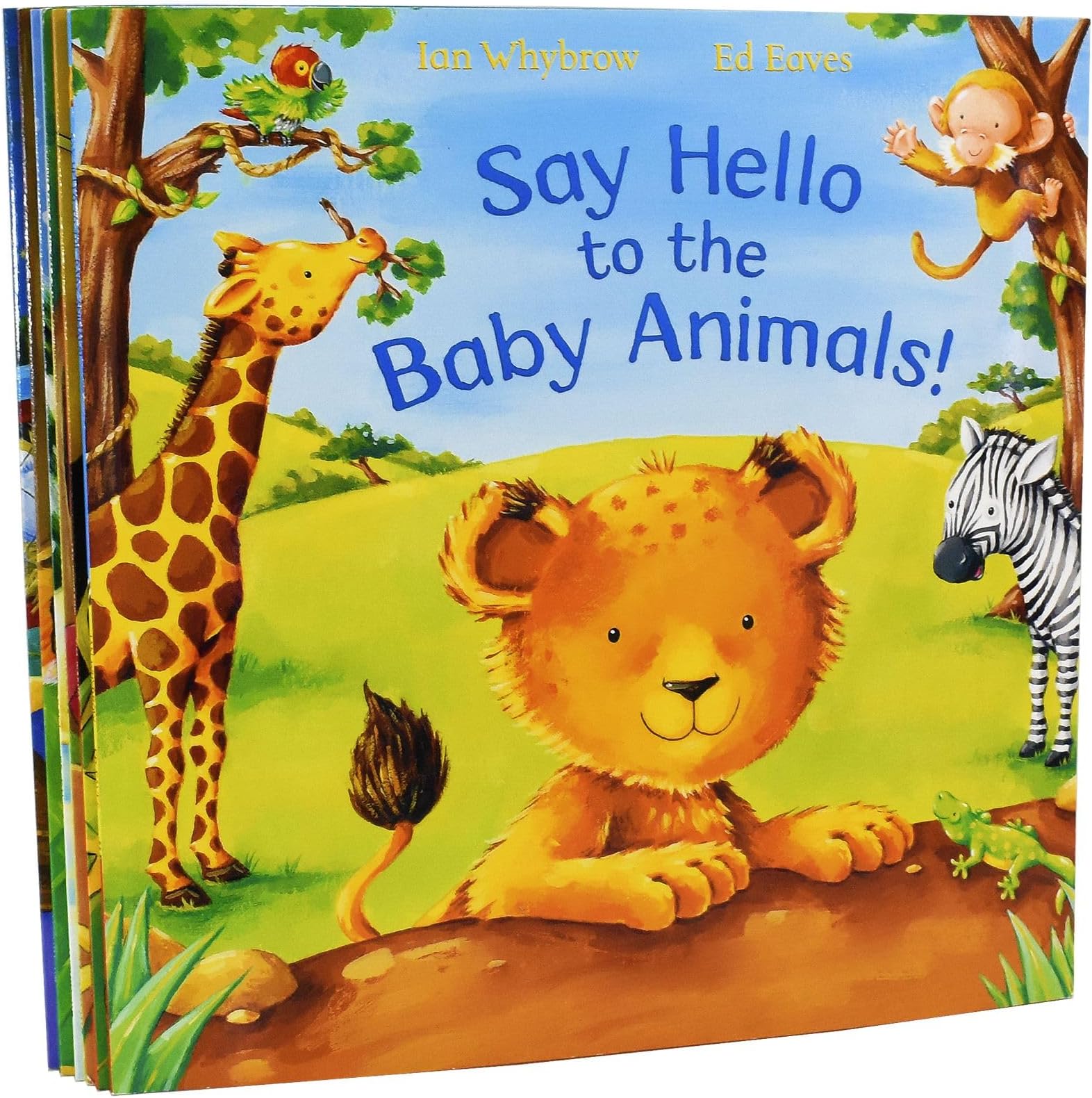 Say Hello to the Animals 6 Books Bundle Collection (say hello to the baby animals,say hello to the animals,Say Boo to the Animals!,Say Hello to the Jungle Animals!,Say Hello to the Snowy Animals!,Say Goodnight to the Sleepy Animals!)