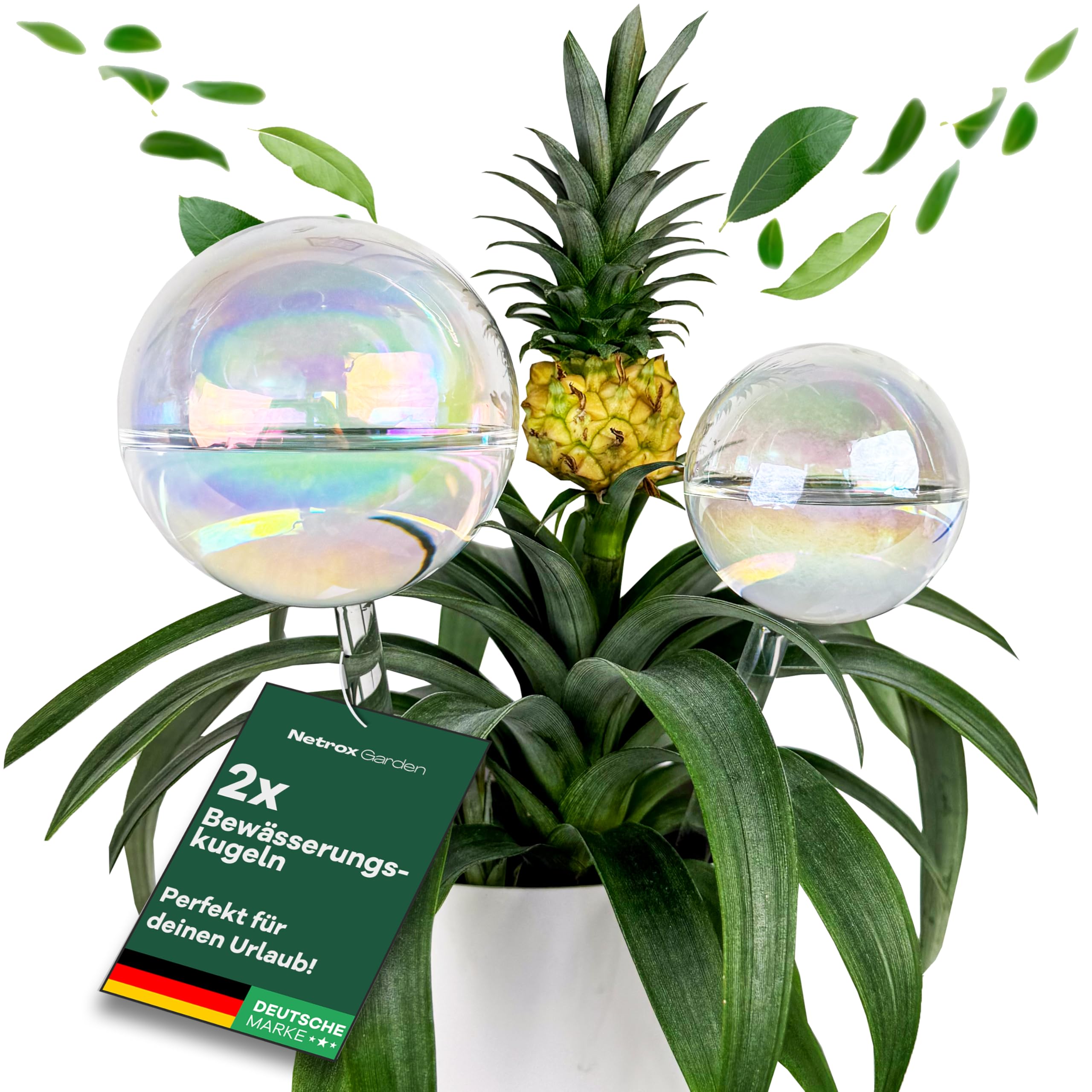 Netrox 2er Set Bewässerungskugeln Glas 400ml,180ml – automatische Pflanzenbewässerung für Pflanzen, Blumen & Garten – ideal im Urlaub – Bewässerung, Bewässerungssystem Topf, Wasserspender