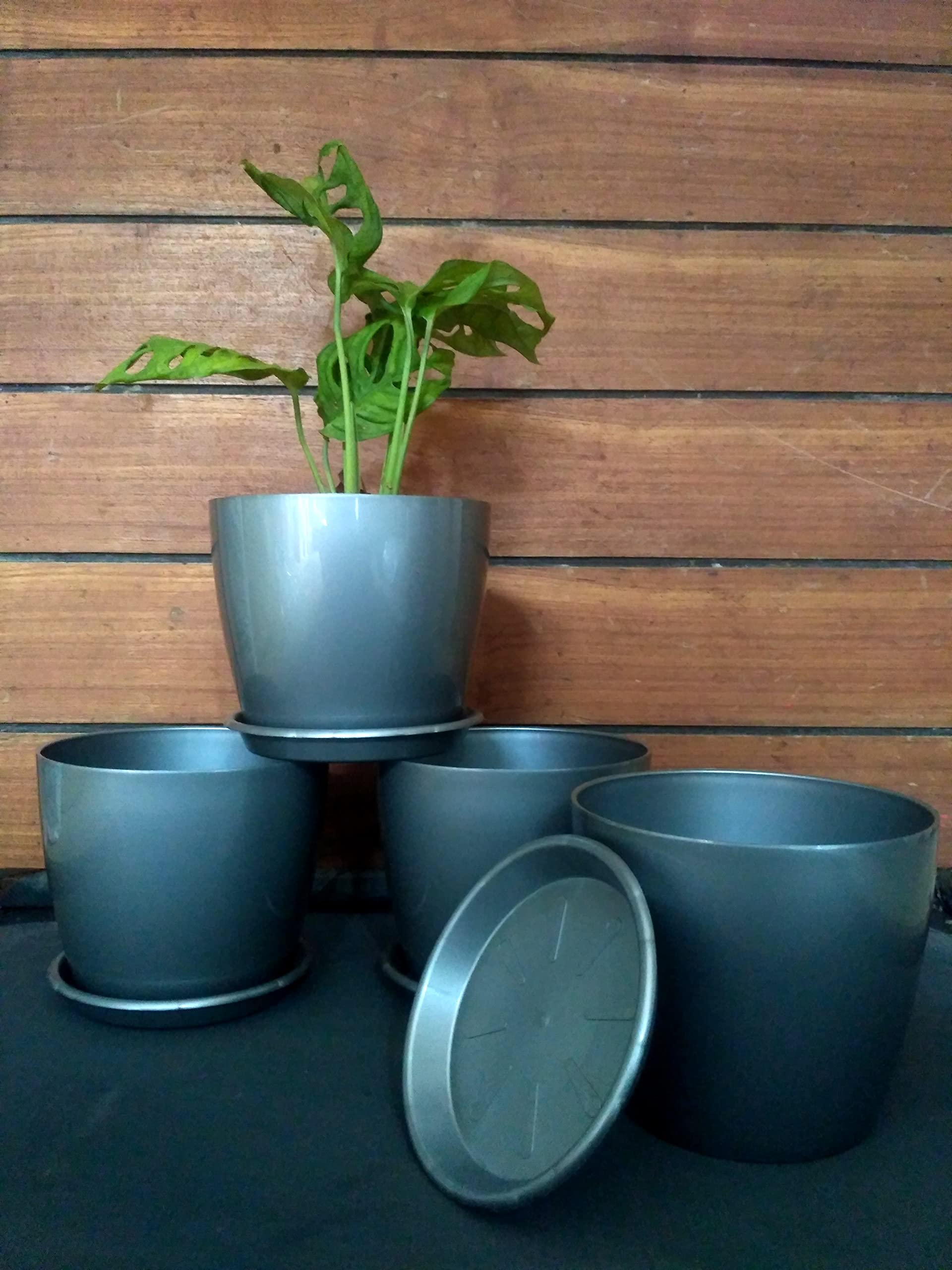 VGreen Glassy Look Plastic Bowl Planter Pot with Trays - 4 Pieces (6 Inches, Cement) (B0B82Y7C2R) Amazon Price History, Amazon Price Tracker