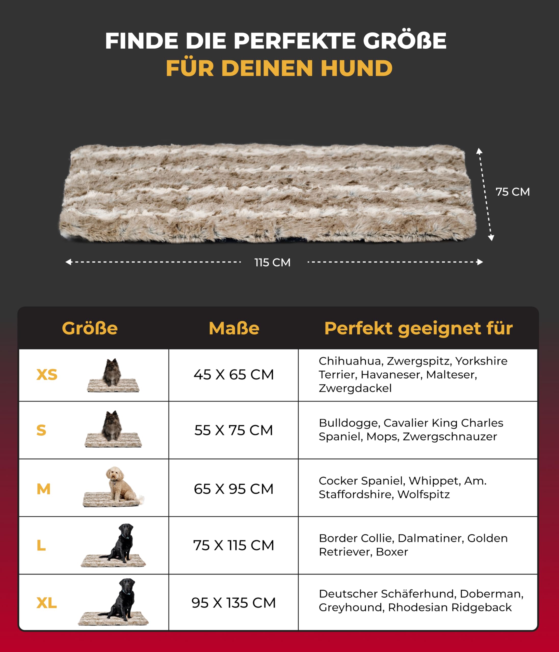 Hundedecke Exklusiv mit Füllung L (75x115 cm) – Gepolstert, Wendbar & Waschbar – Gemütliche Hunde Kuscheldecke – Sand, Made in DE