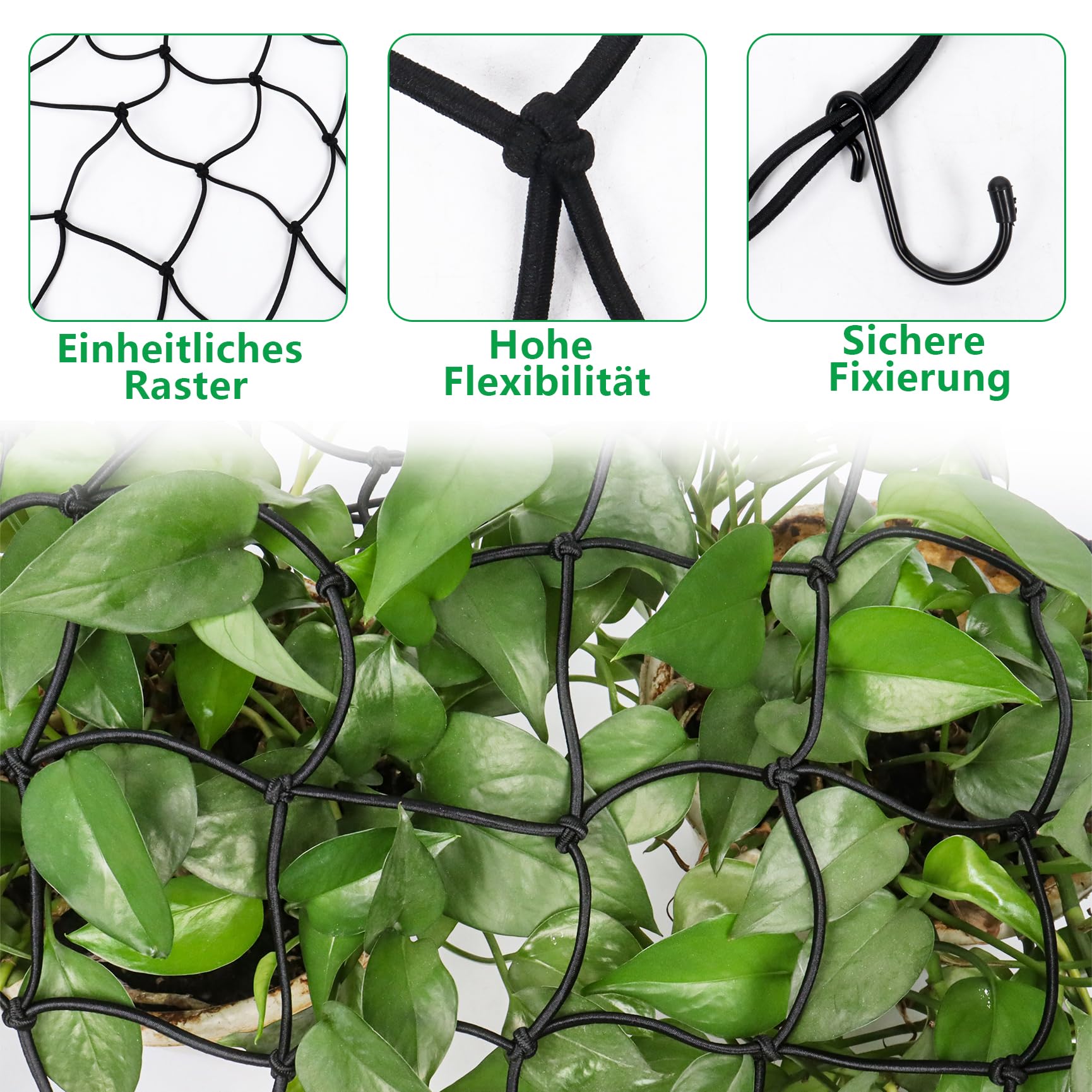 Filet De Support élastique Pour Scrog Grow Tools | GroWell