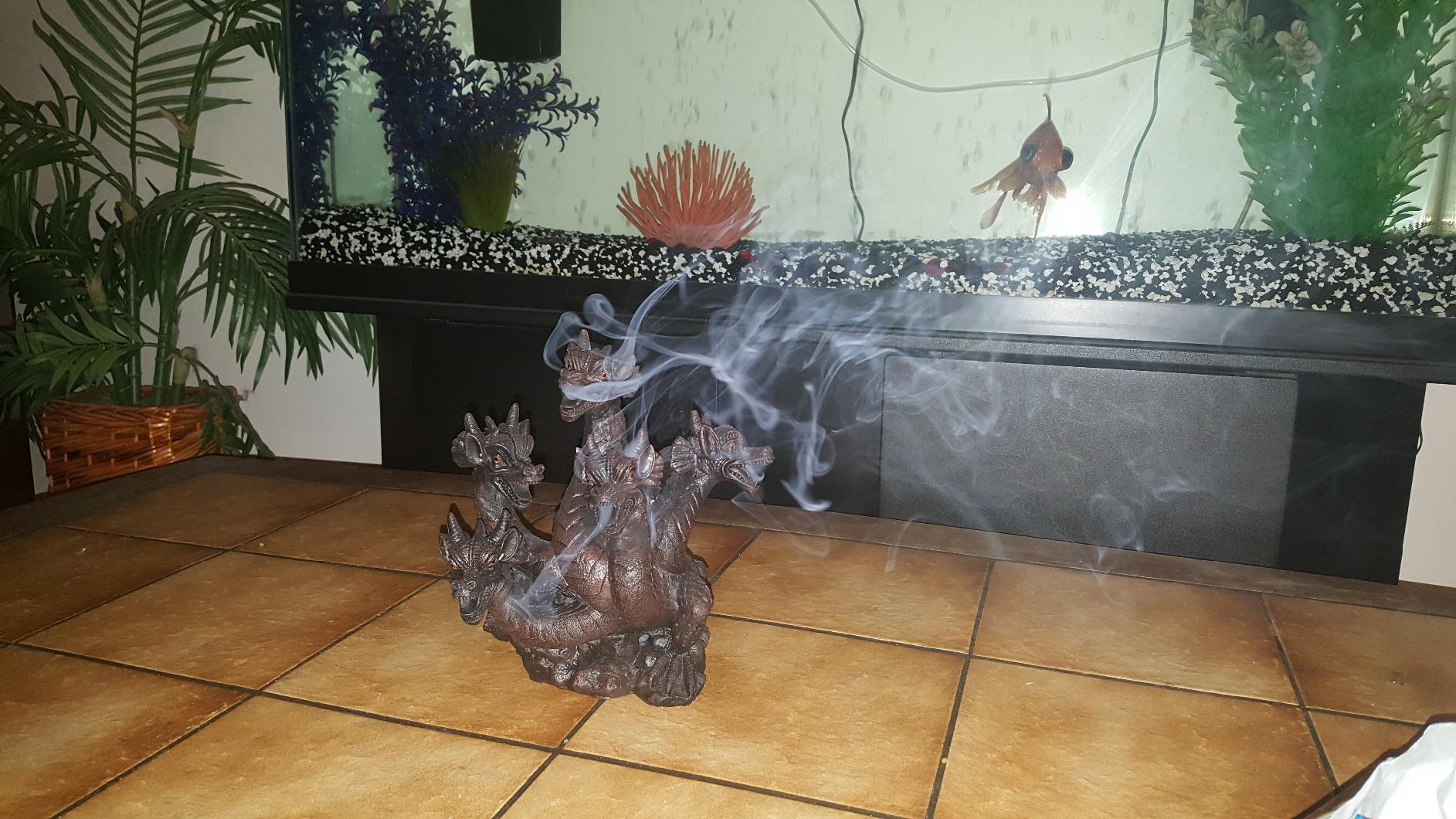 Elegant Expressions 5 Headed Smoke Breathing Dragon Incense