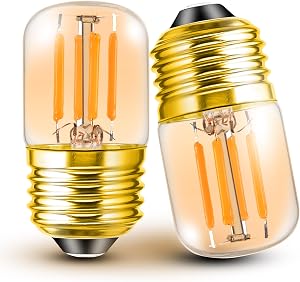 E26 Low Wattage Night Light Bulbs, 2200k Amber Warm Sleep Light Bulb 15W Equivalent, E26 Medium Base 2w 200lm T28 Mini LED Edison Bulb for Decorative Bulbs Oven Wall Sconces Lights, 2 Pack