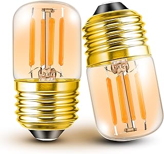 E26 Low Wattage Night Light Bulbs, 2200k Amber Warm Sleep Light Bulb 15W Equivalent, E26 Medium Base 2w 200lm T28 Mini LED Edison Bulb for Decorative Bulbs Oven Wall Sconces Lights, 2 Pack