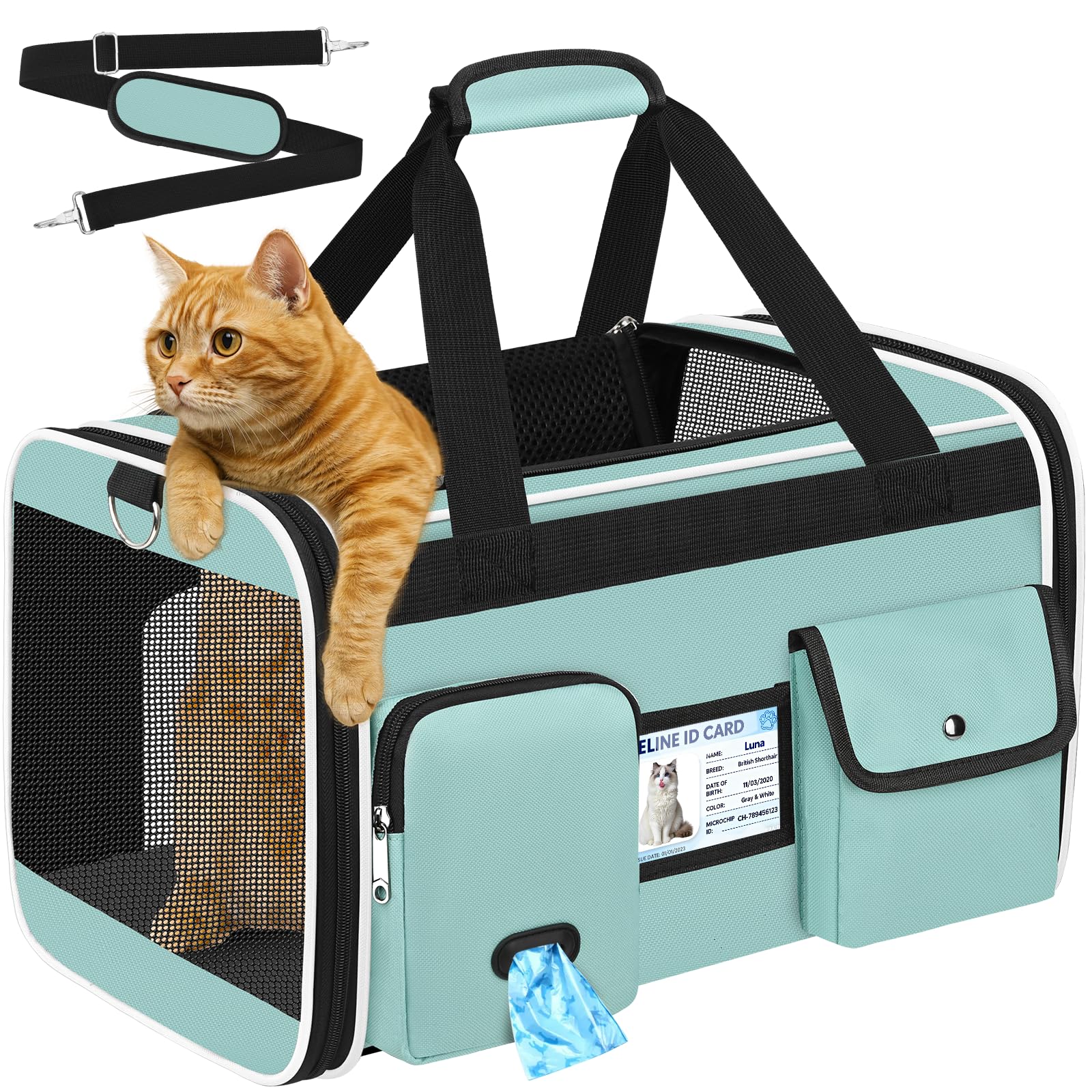 HUANLANG Soft-Sided Cat Carrier Airline Approved,Dog Carriers for Small Dogs Medium Cats,Pet Travel Carrier Up to 15 Lbs,Collapsible Cat Bag