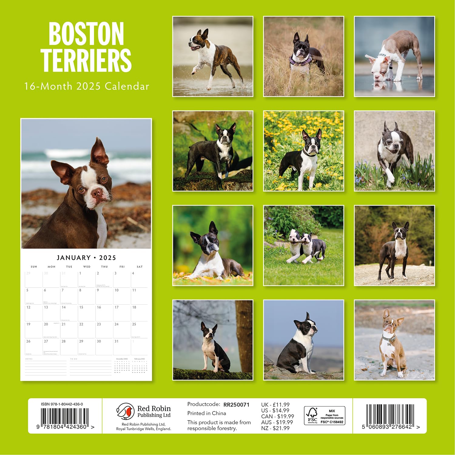 Boston Robn Boston Terriers – 2025 Square Wall Calendar – by Red Robin Publishing ...