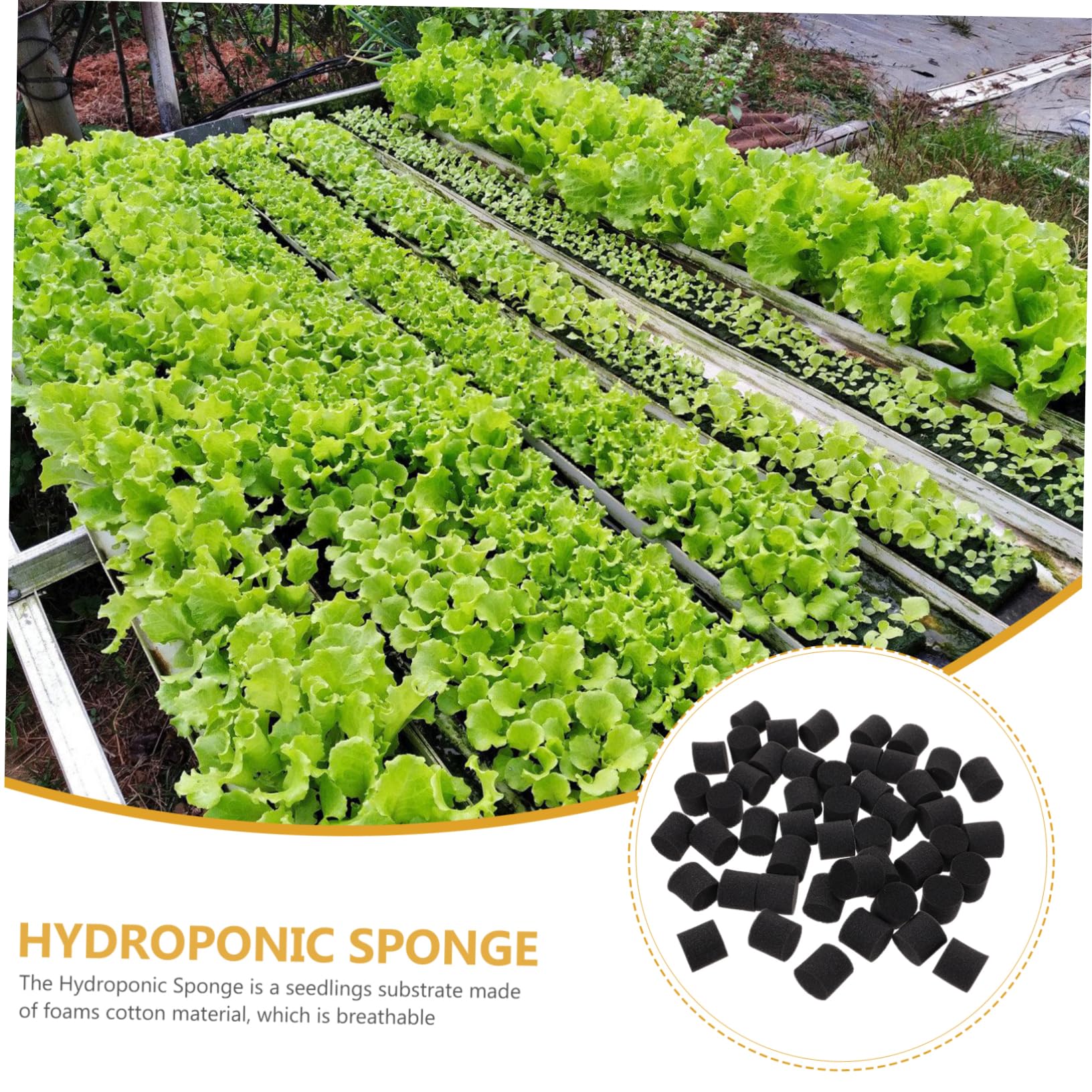 BESPORTBLE Lot De 4 Éponges Hydroponiques pour Culture Hydroponique Substrat pour Herbe De Blé 100 Pièces X 4