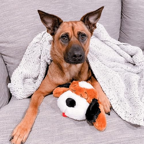 Miniatura 9 de Smart Pet Love juguete para acurrucarse de ayuda para comportamiento del cachorro