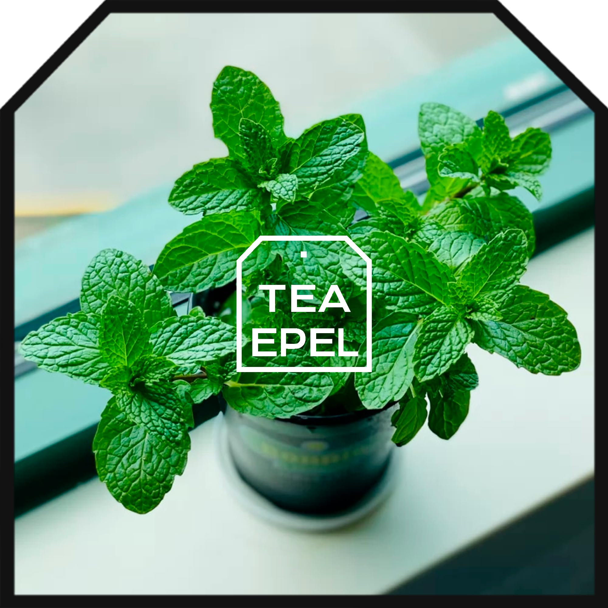 Hierbabuena 200 gr - Te de Hojas de Hierbabuena Cortadas - Infusion de Menta - Te de menta - Infusiones a Granel - Infusión de Hierbas - Propiedades Naturales