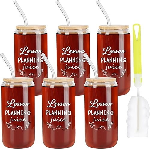 6 piezas de regalos para profesores, 16 onzas, regalo de agradecimiento para profesores, regalo para profesores, lata de cerveza, vaso de vidrio