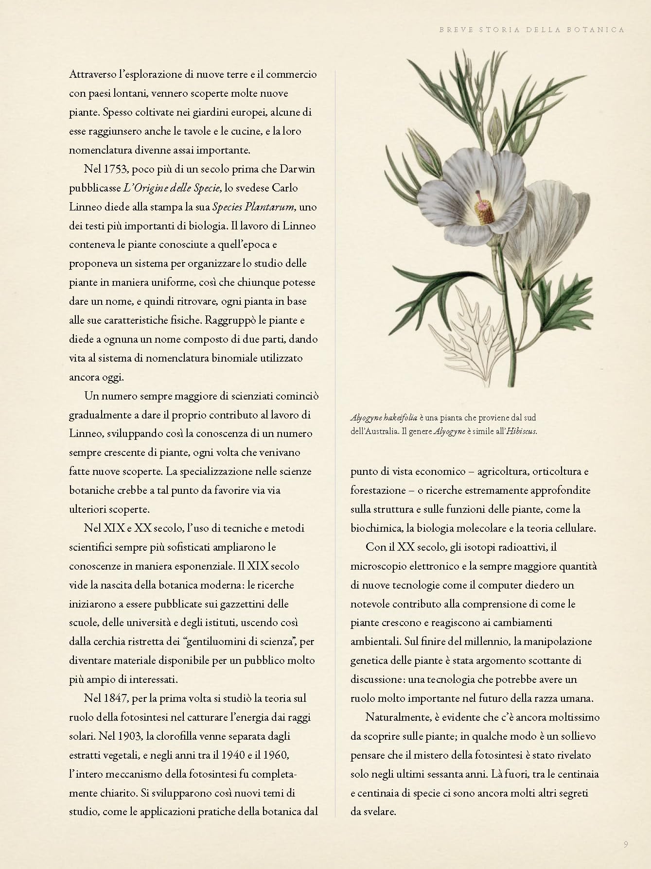 Botanica per giardinieri. L'arte e la scienza del giardinaggio spiegate e raccontate