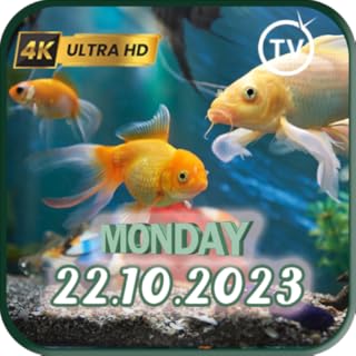 Aquarium Clock Screensaver & Analog And Digital Clock For Tablets & Fire TVs - Beautiful Wallpaper Aquarium Screensavers For Tablets And Fire TV - NO ADS