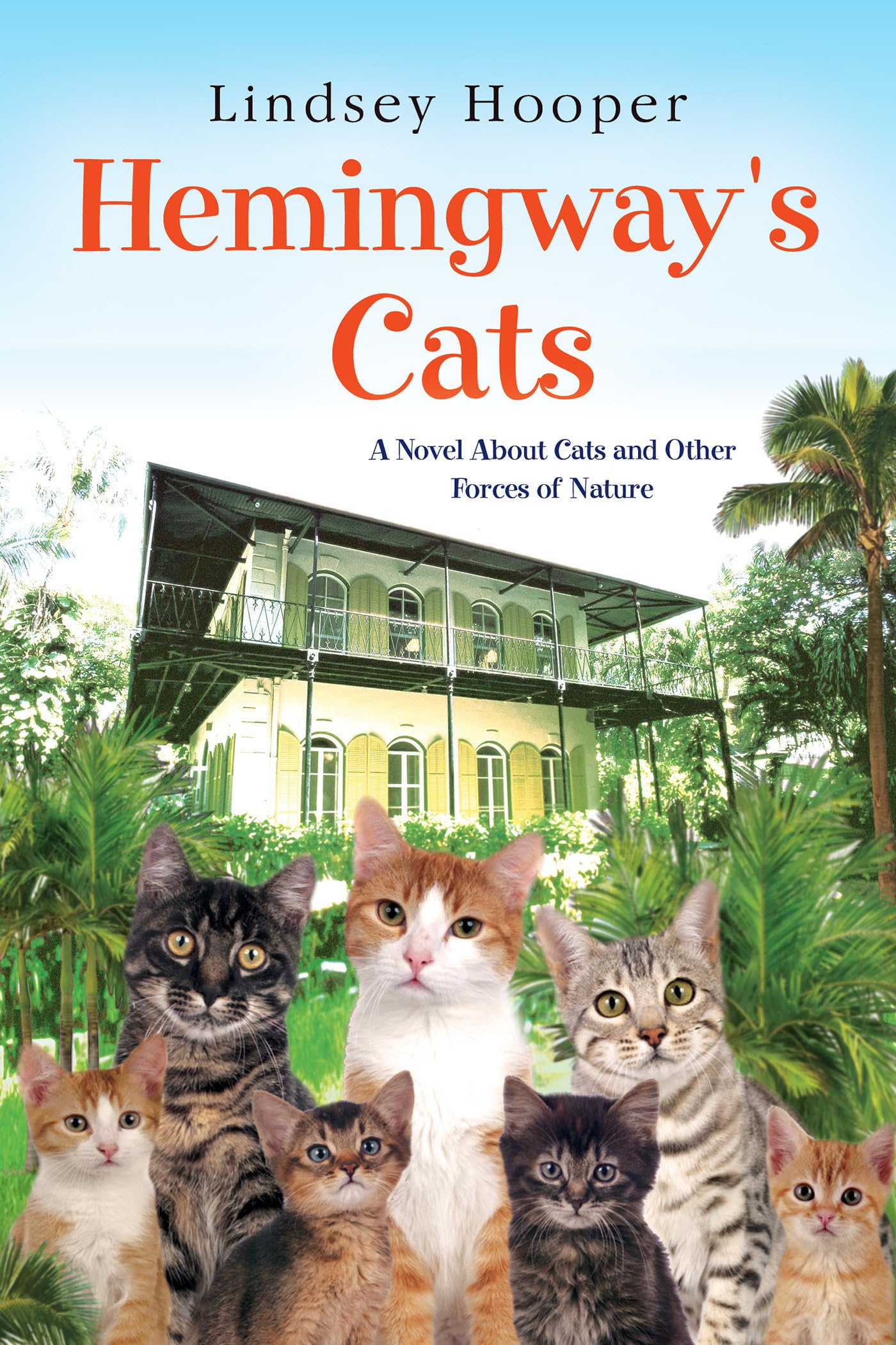 Cover of Hemingway's Cats