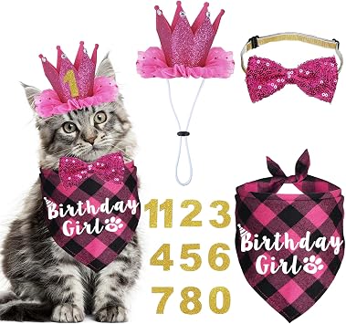 Cat Birthday Party Supplies - Cat Outfits Kitten Bandanas with Hat, Crown, Bow Tie, Number for Kitten Decorations Rose