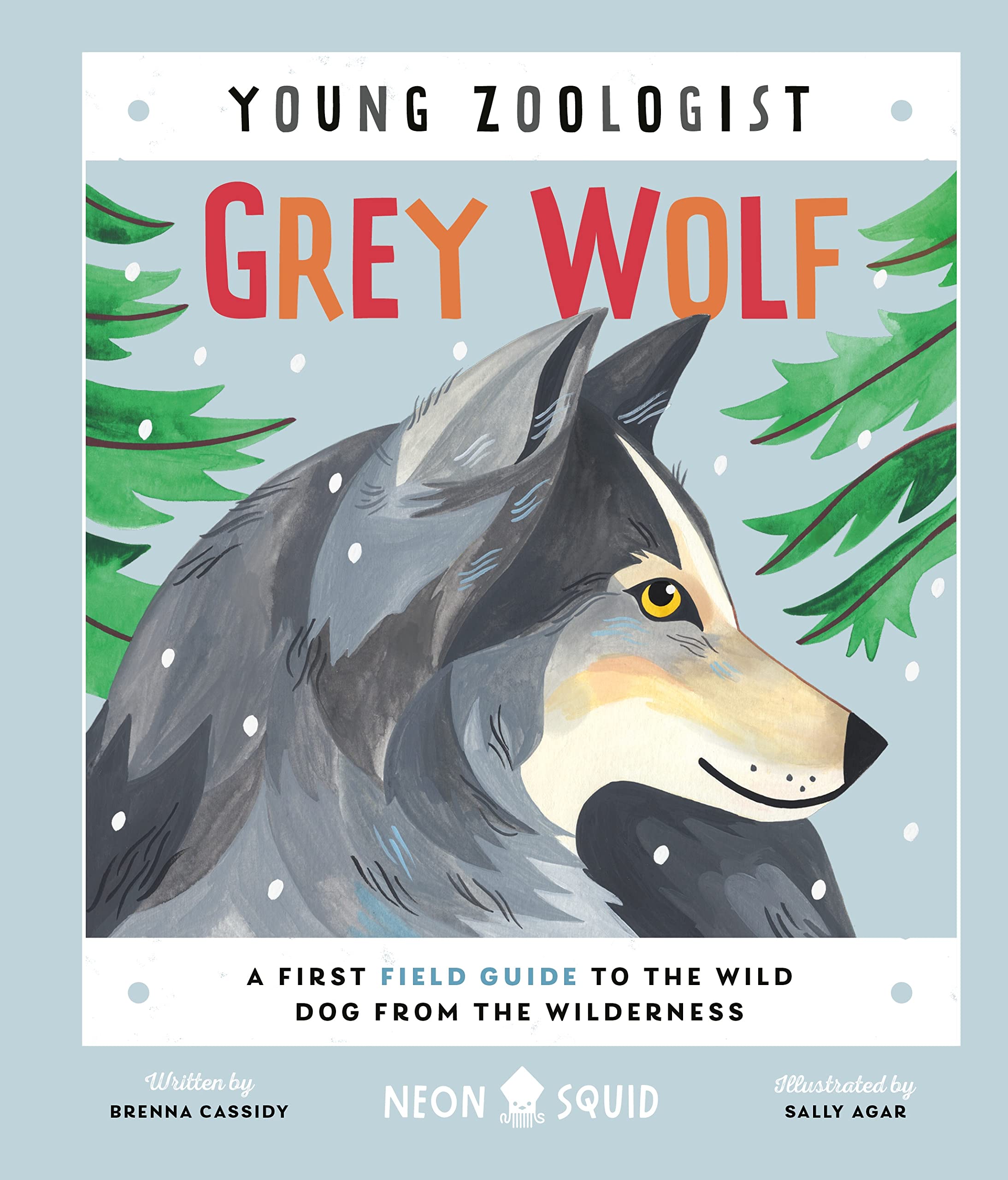Grey Wolf (Young Zoologist): A First Field Guide to the Wild Dog from the Wilderness: 8
