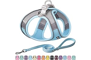AIITLE Puppy Harness with Leash Under 5 Pounds