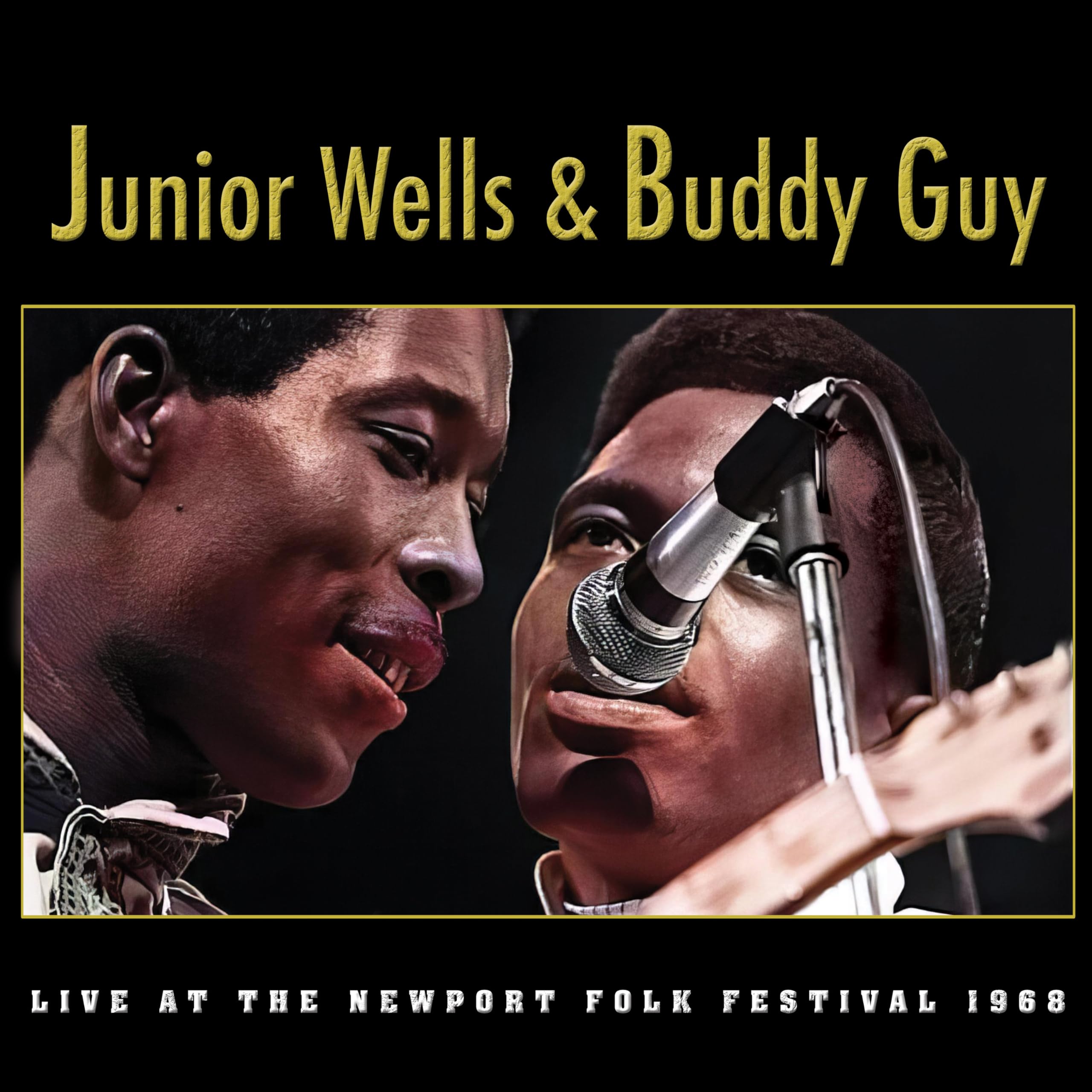 Live at the Newport Festival