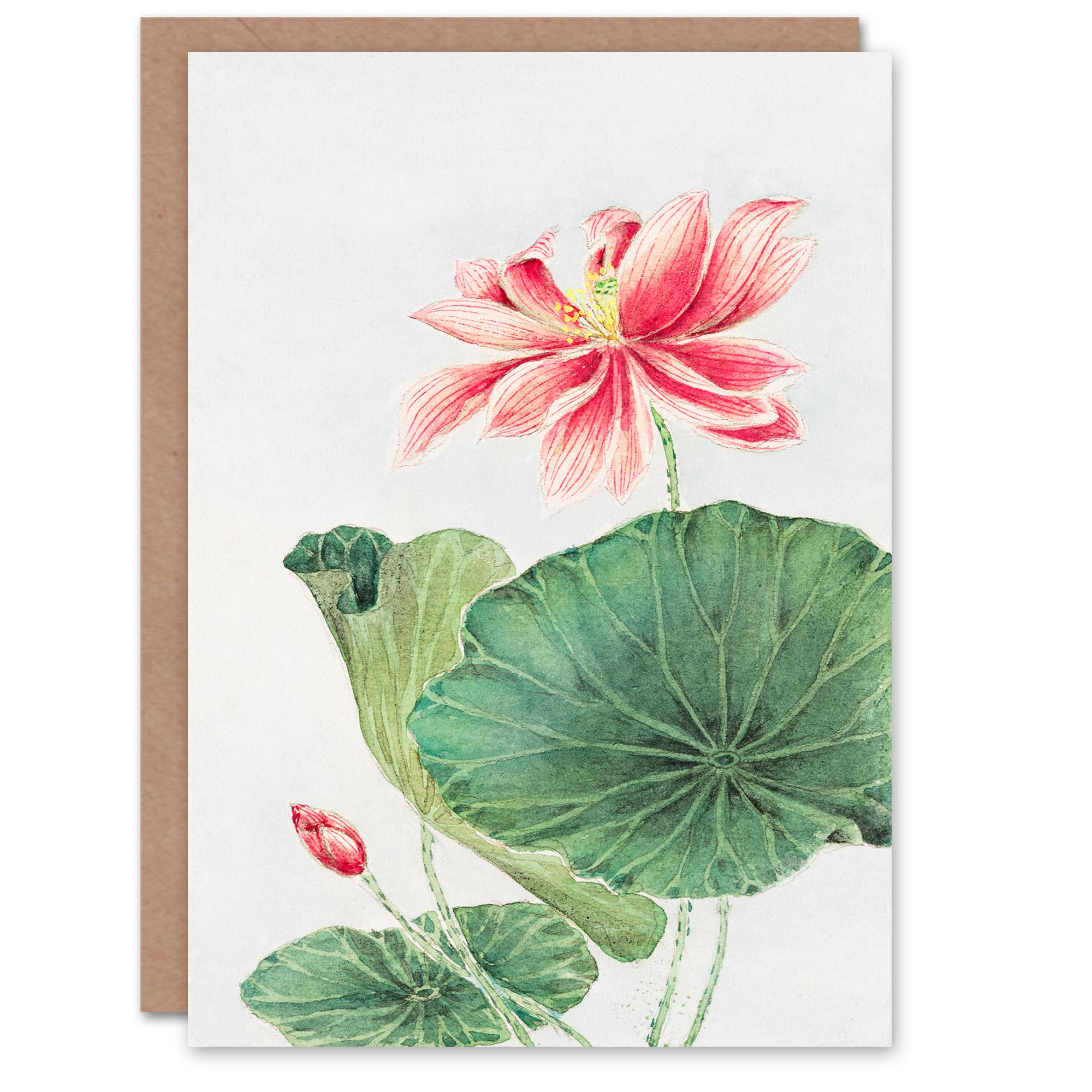 Artery8 - Blooming Lotus Flower Botanical Art Card - Pink