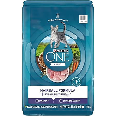 purina one kitten