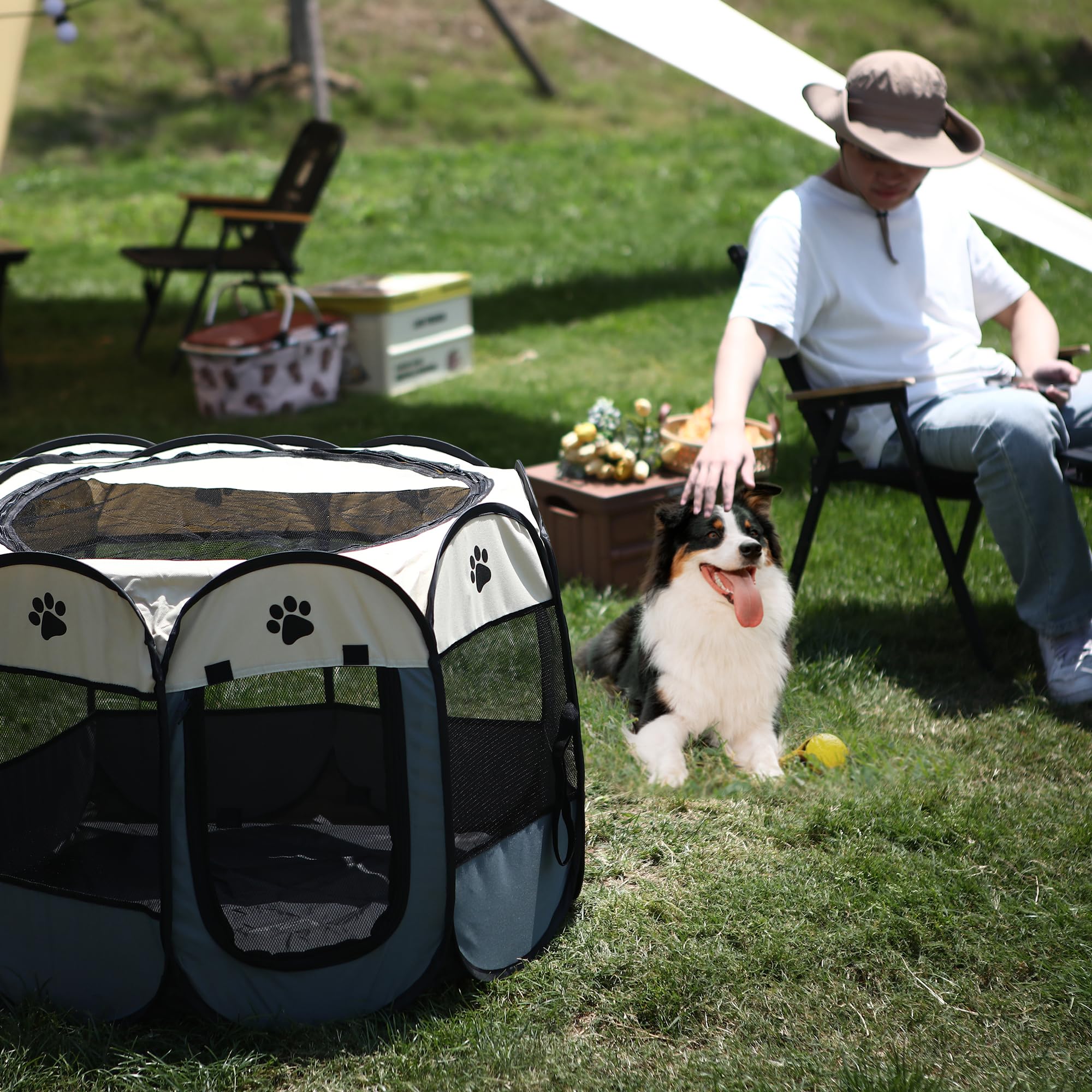 Box pieghevole per animali domestici, portatile, morbido design pop-up, per cani, gatti e gattini, gabbia in tessuto a rete traspirante, leggero e per uso interno ed esterno