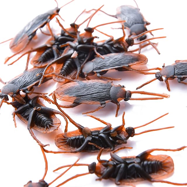 Realistic Plastic Fake Spider Toy halloween prank props Funny kids, adult holiday party decorations 30 pcs (cockroach)