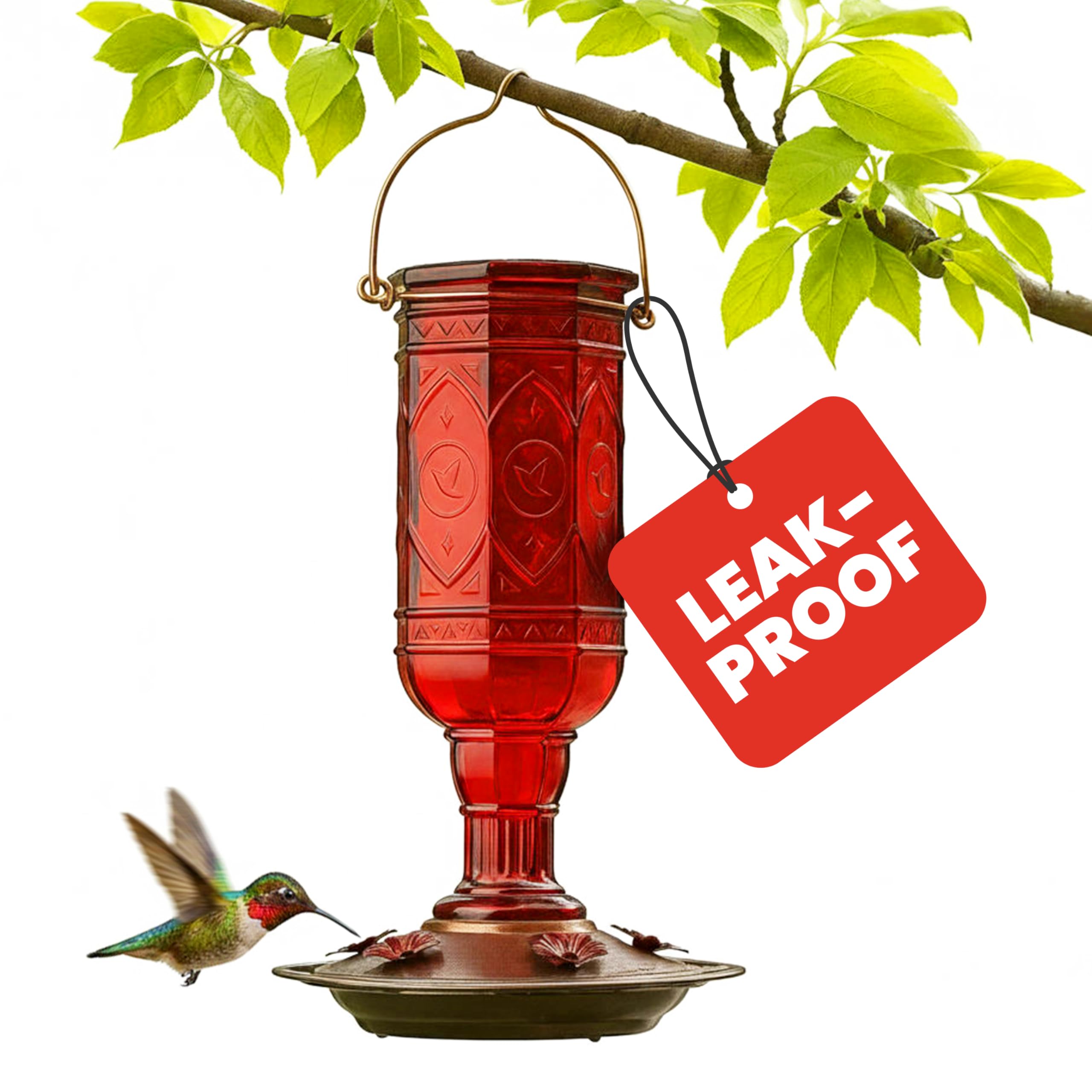 More Birds Red Jewel Hummingbird Feeder, Glass Bottle, 5 Feeding Ports and 20-Ounce Nectar Capacity (76IN)