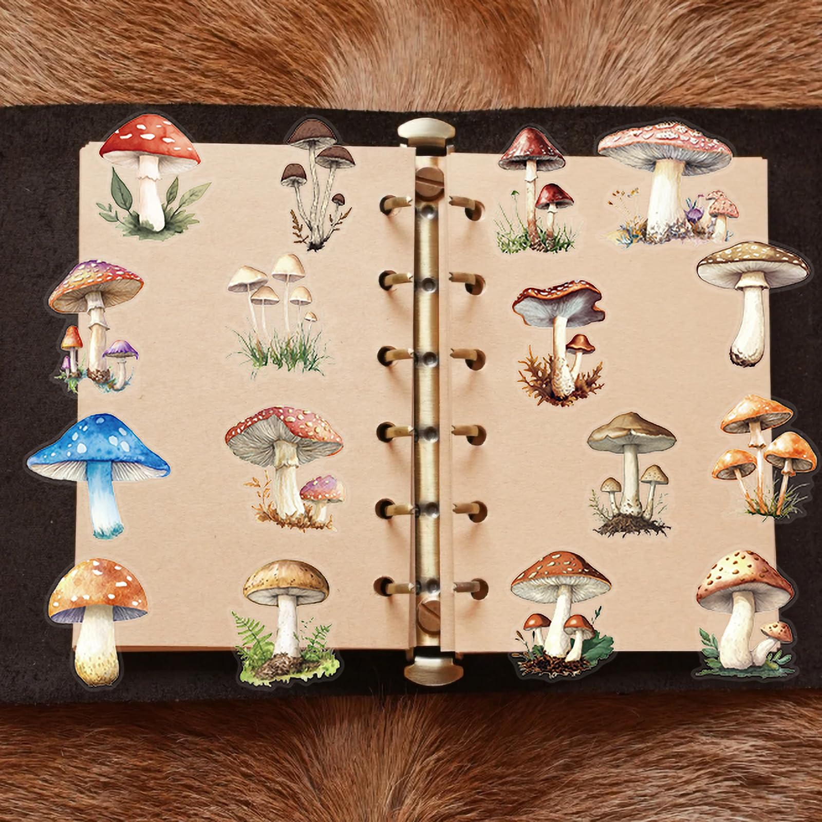 Mushroom Stickers Pack, 50Pcs Transparent PET Aesthetic Mushroom Decals for Water Bottles Laptops and Journals - Image 4