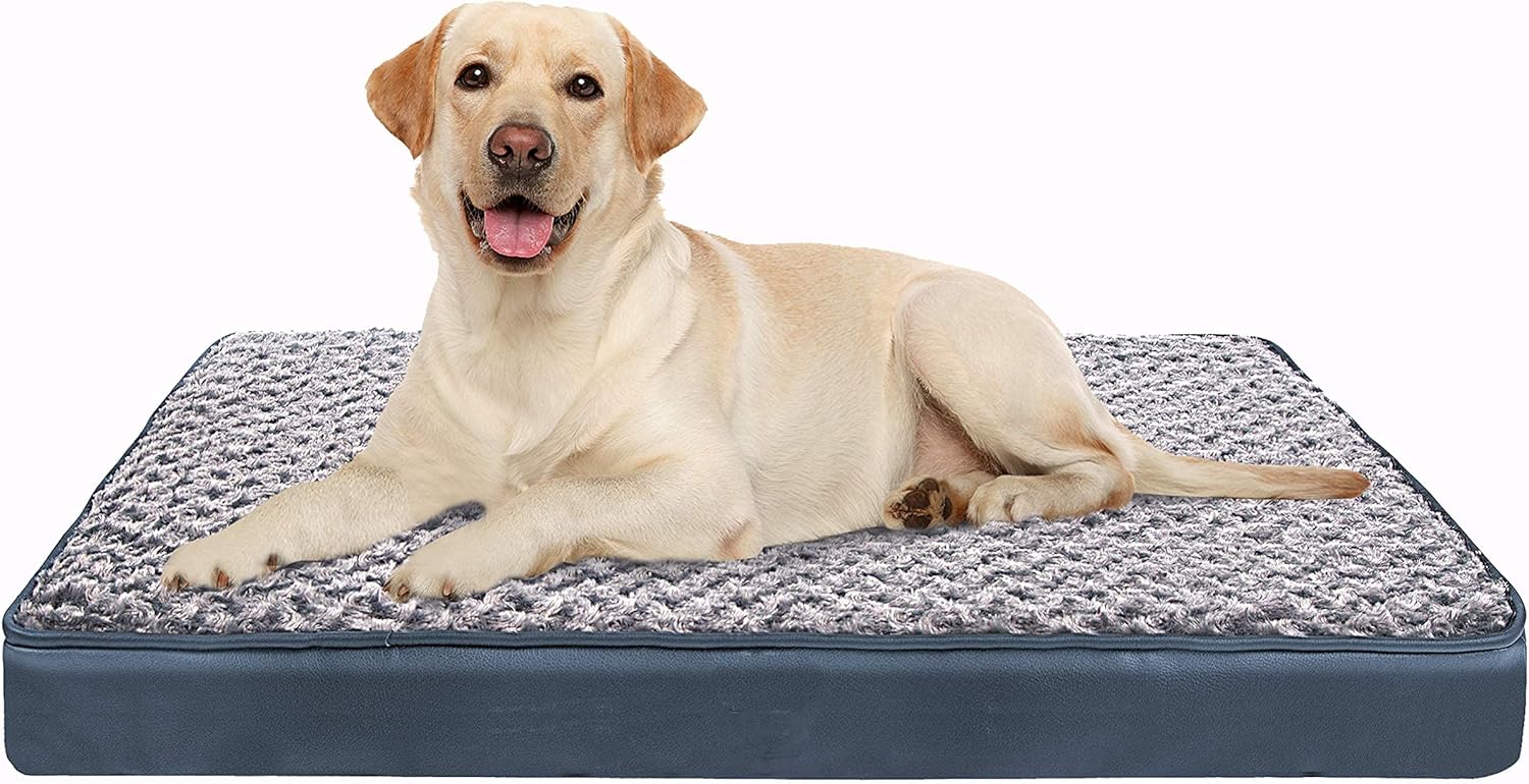 Cómoda Cama para Perros Grandes y Medianos, Lavable Argentina Ubuy