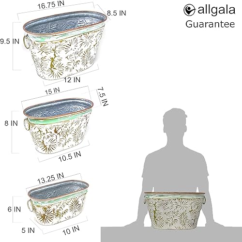 Miniatura 6 de Allgala Juego de 3 macetas galvanizadas con asas, decoración interior y exterior, trébol azul HD88322A