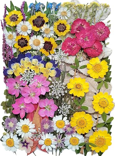 Miniatura 31 de 100 piezas de hojas verdes prensadas secas reales, herbario de plantas naturales para bricolaje, moldes de resina, fabricación de joyas