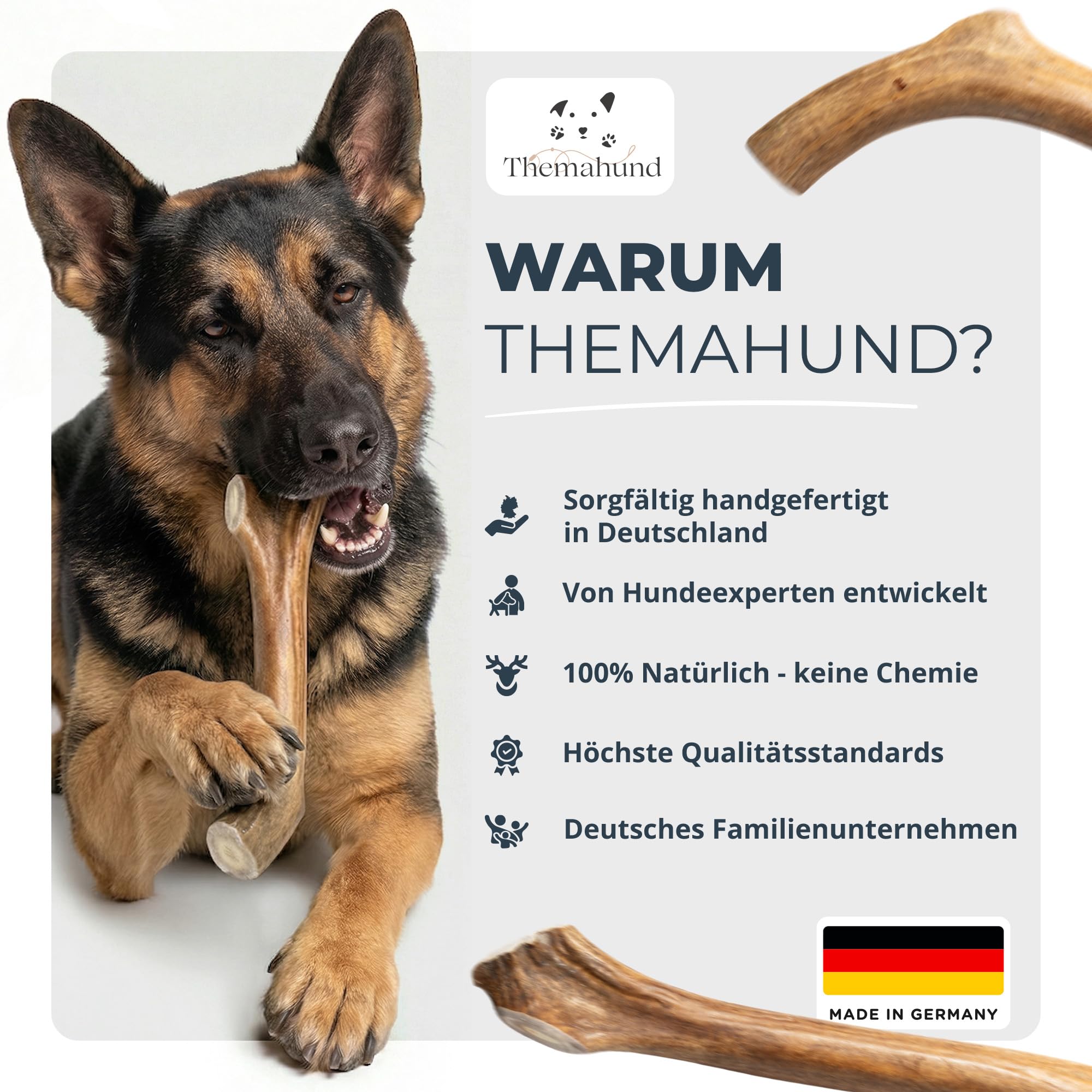 Kaugeweih Hund echtes Rentier | Alternative zu Hirschgeweih Hund & Kauknochen | Extra Lang & Robust | Perfektes Kauholz & Unzerstörbares Kauspielzeug Hunde (L, 1 Stück)