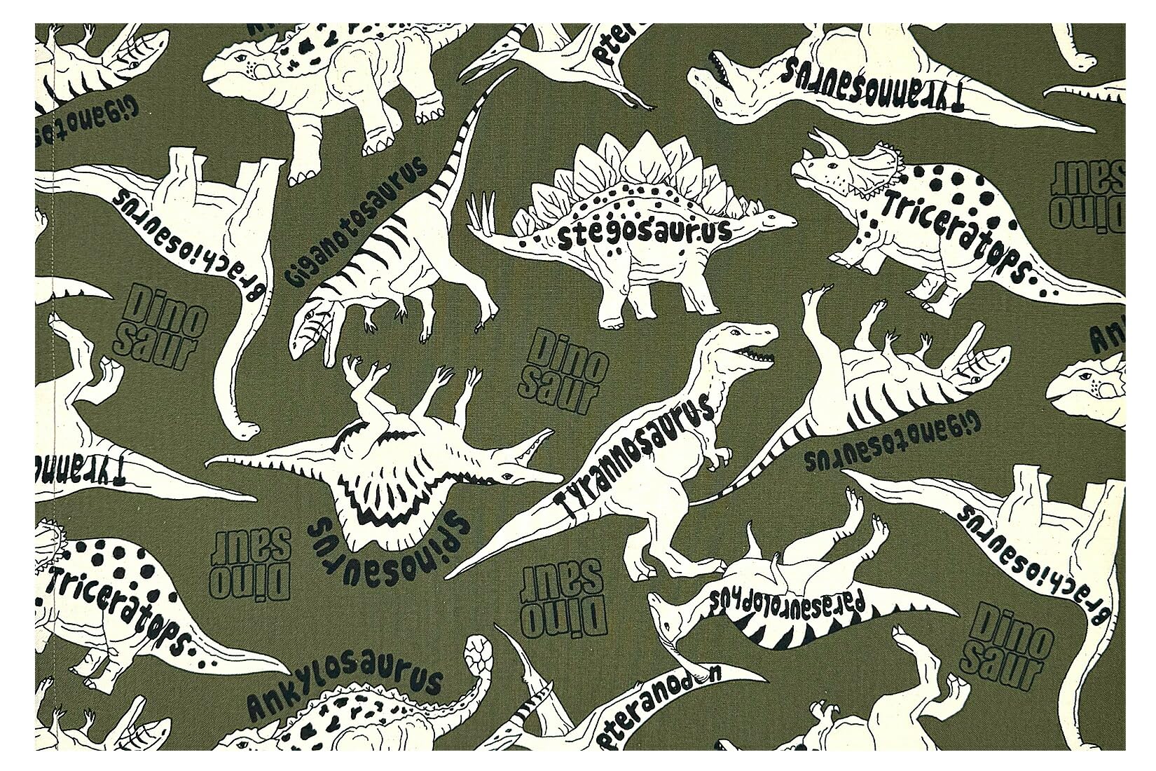 ☆オーダー受付中①☆ 恐竜いろいろ ランチマット 男の子 ☆オーダー