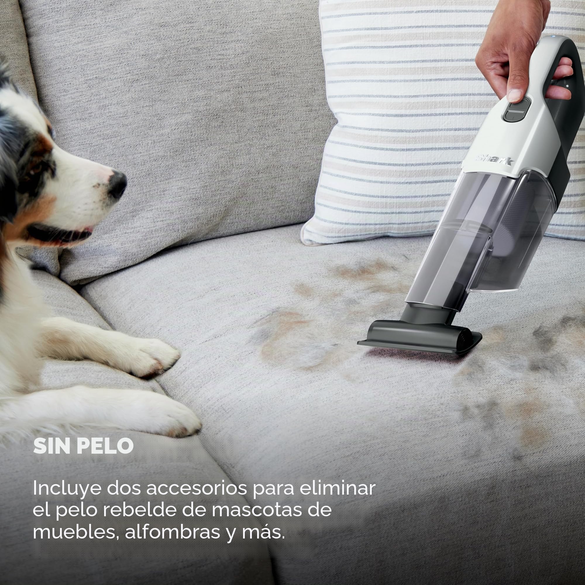 Shark Cyclone - Aspiradora de mano PET con succión HyperVelocity, potente recogida de pelo de mascotas, ligera, taza de polvo XL, incluye herramienta de tapicería, herramienta para hendiduras de 8