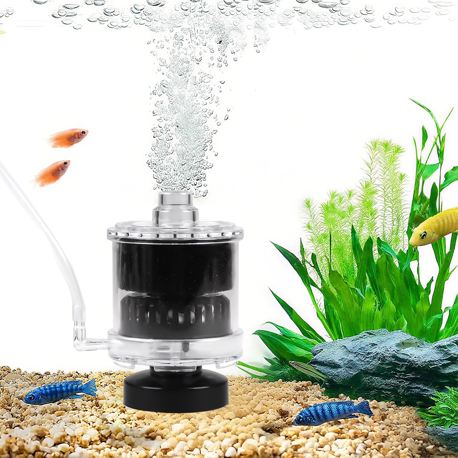 EXLECO Small Aquarium Sponge Filter with Bubbler Hose, Mini Aquarium Inner Filter for 30-60L Aquarium, Internal Filter with Filter Material, for Betta Shrimp (Air Pump Not Included)