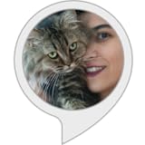 katzenzucht britisch kurzhaar  Katzenwelt