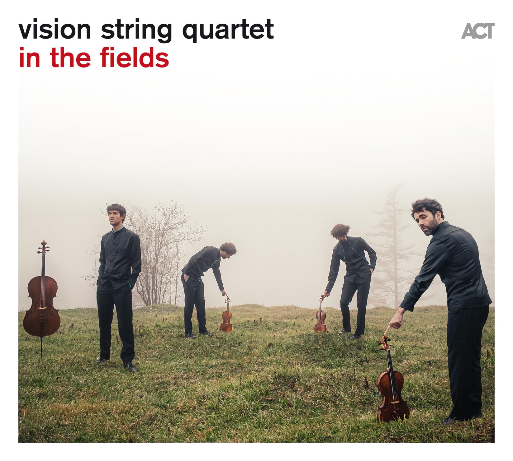 In the Fields [VINYL]