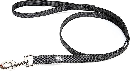 IDC Color & Gray Strap with Handle and D-Ring, 20 mm x 2 m, Black-Grey