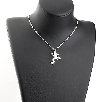 TGBJE Frog Necklace Frog Spirit Animal Inspirational Gift for Women Daughter Frog Charm Jewelry