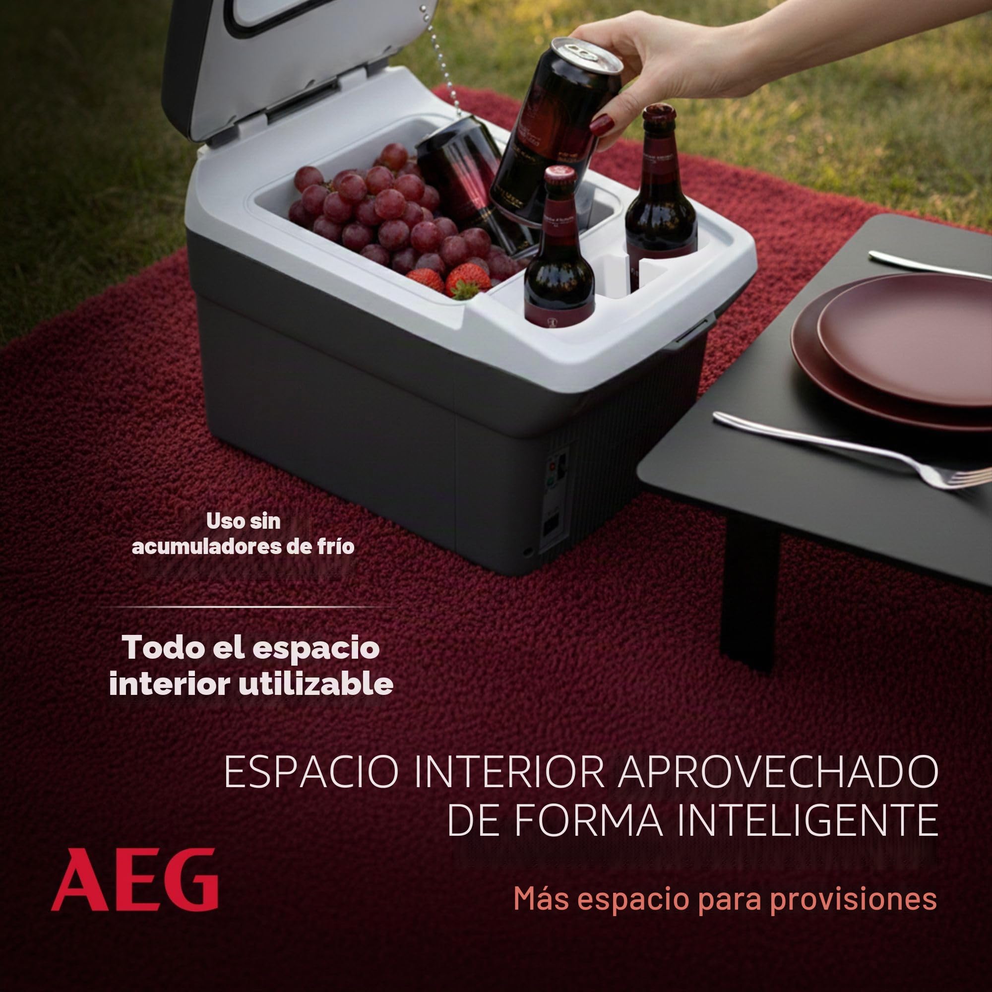AEG Automotive Board-Bar BK 16 enfriador y calentador termoeléctrico 16 litros, 12 voltios para coche y enchufe, se puede conectar al coche