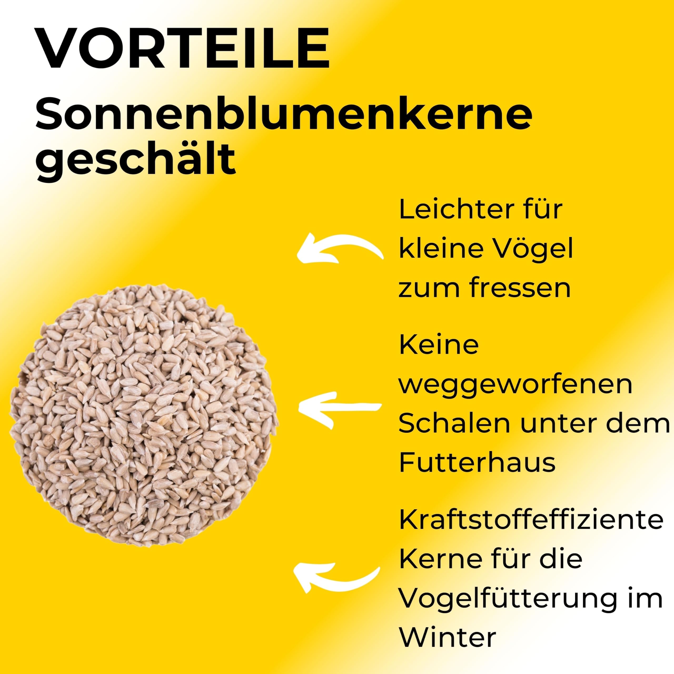 Boill/Sonnenblumenkerne geschält 25 kg - Vogelfutter direkt vom Hersteller, vogelfutter sonnenblumenkerne Neue Ernte 2025 ganzjahresfutter fettfutter ohne Staub im Sack