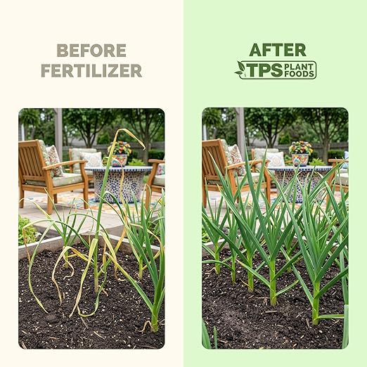 Fertilizante Líquido para Ajo - 8 oz miniatura 3