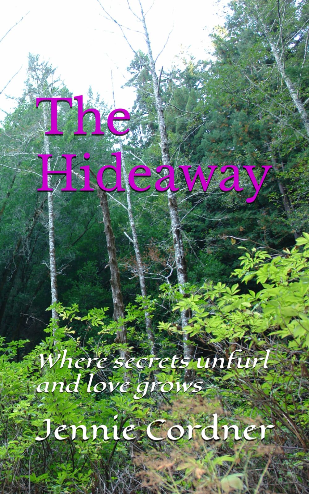 The Hideaway: Where secrets unfurl and love grows
