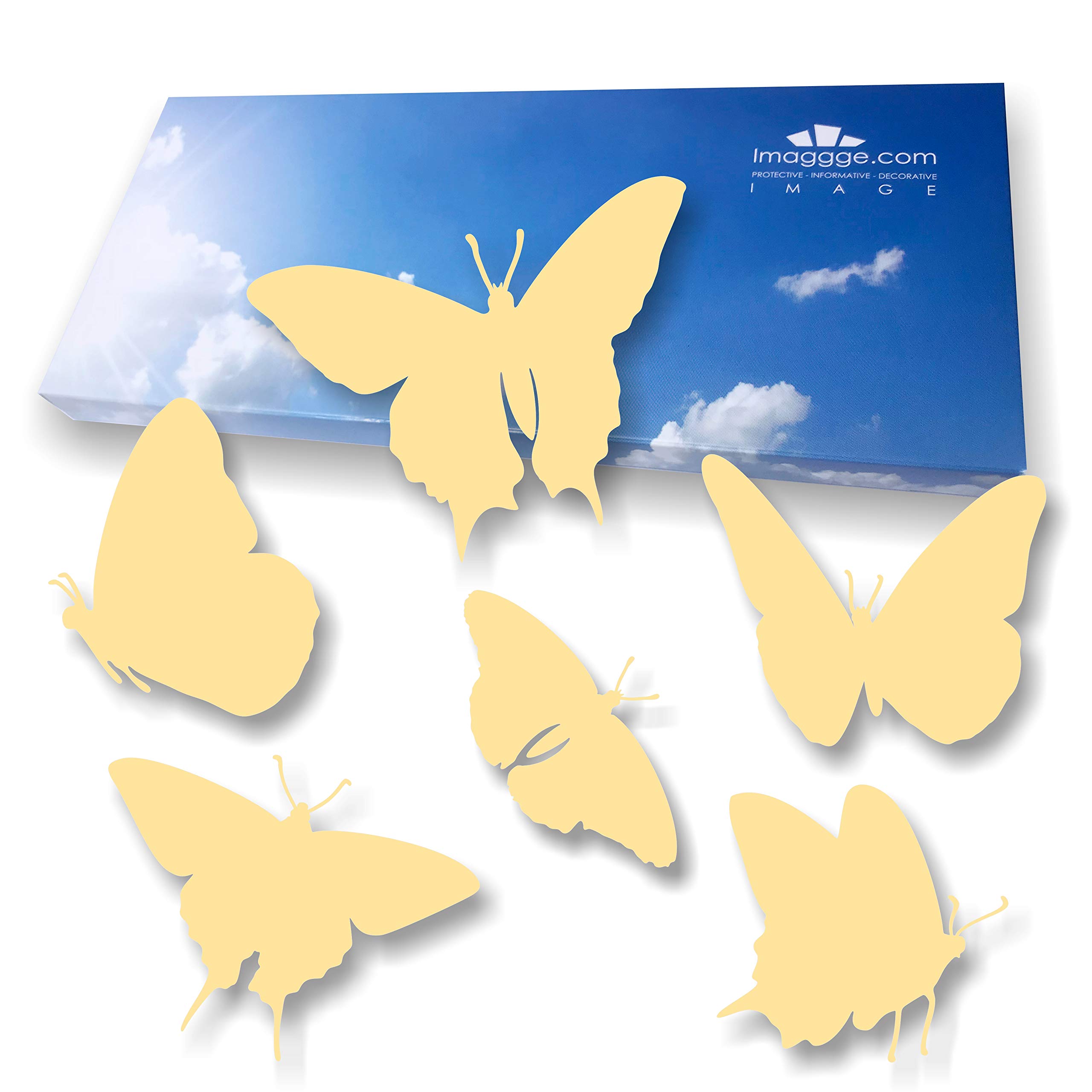 imaggge.com, Window Protection Stickers, Anti-Collision Decals to Prevent People and Bird Strikes on Window Glass