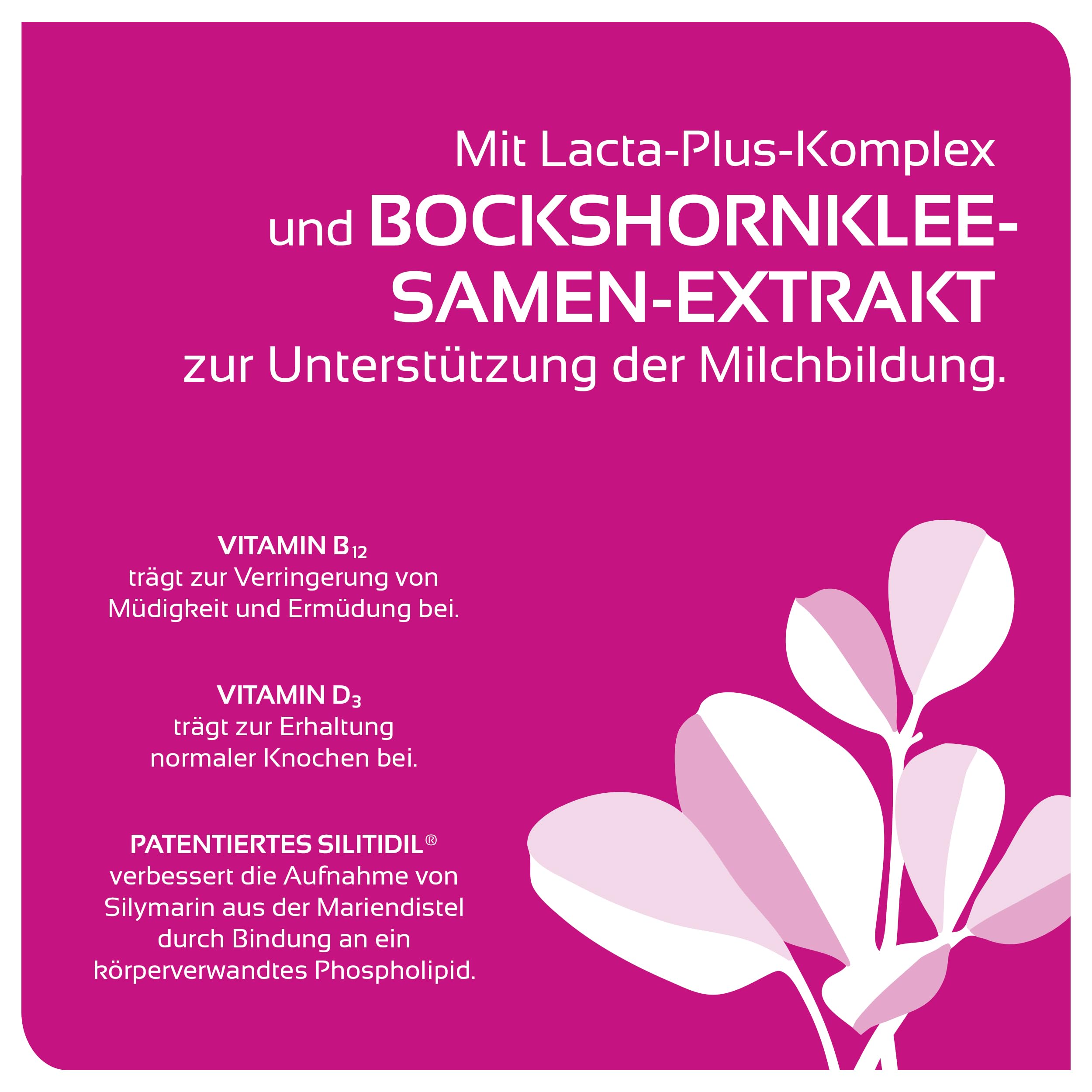 Humana piulatte® – Trinkpulver mit Bockshornkleesamen zur Unterstützung der natürlichen Milchbildung | Unterstützung in der Stillzeit (Packung mit 2)