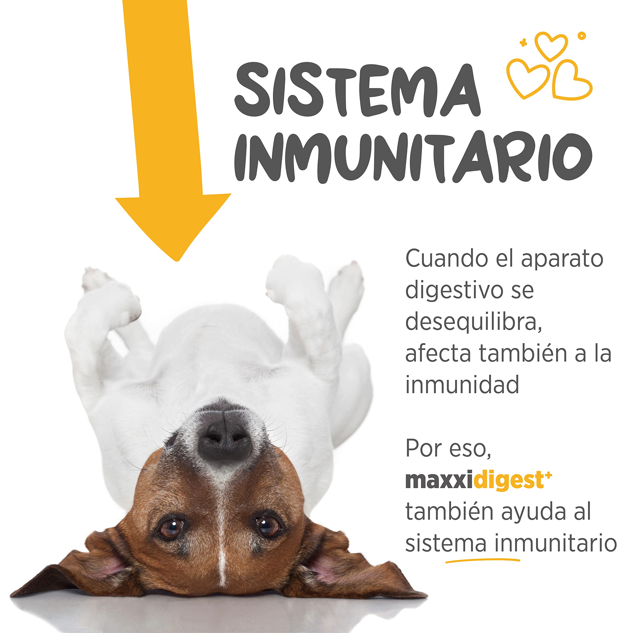 maxxipaws maxxidigest+ Prebióticos y Probióticos para Perros - Soporte Digestivo e Inmunológico - Suplemento en Polvo, 375g
