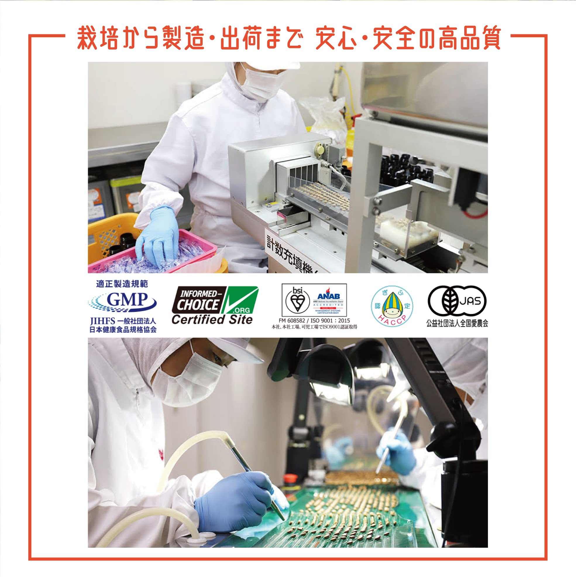 Amazon | 日本山人参 サプリ 150粒入×1袋 宮崎県高千穂産 ヒュウガ