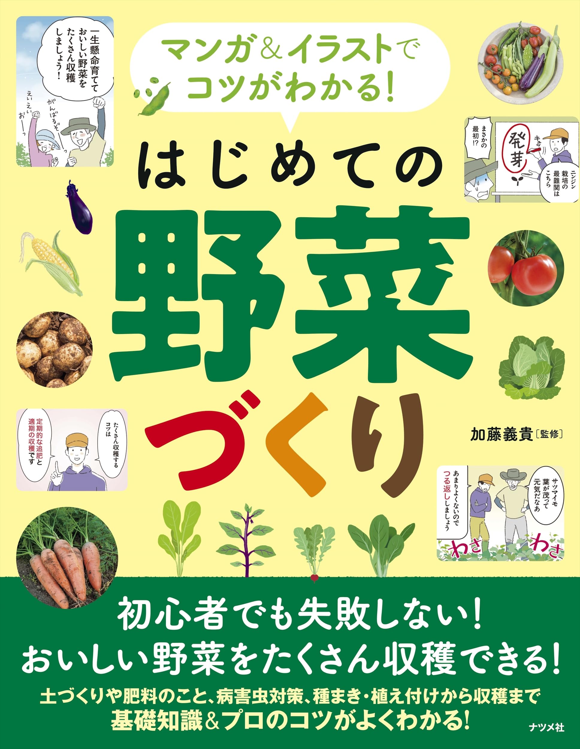 マンガ&イラストでコツがわかる! はじめての野菜づくり | 加藤 義貴
