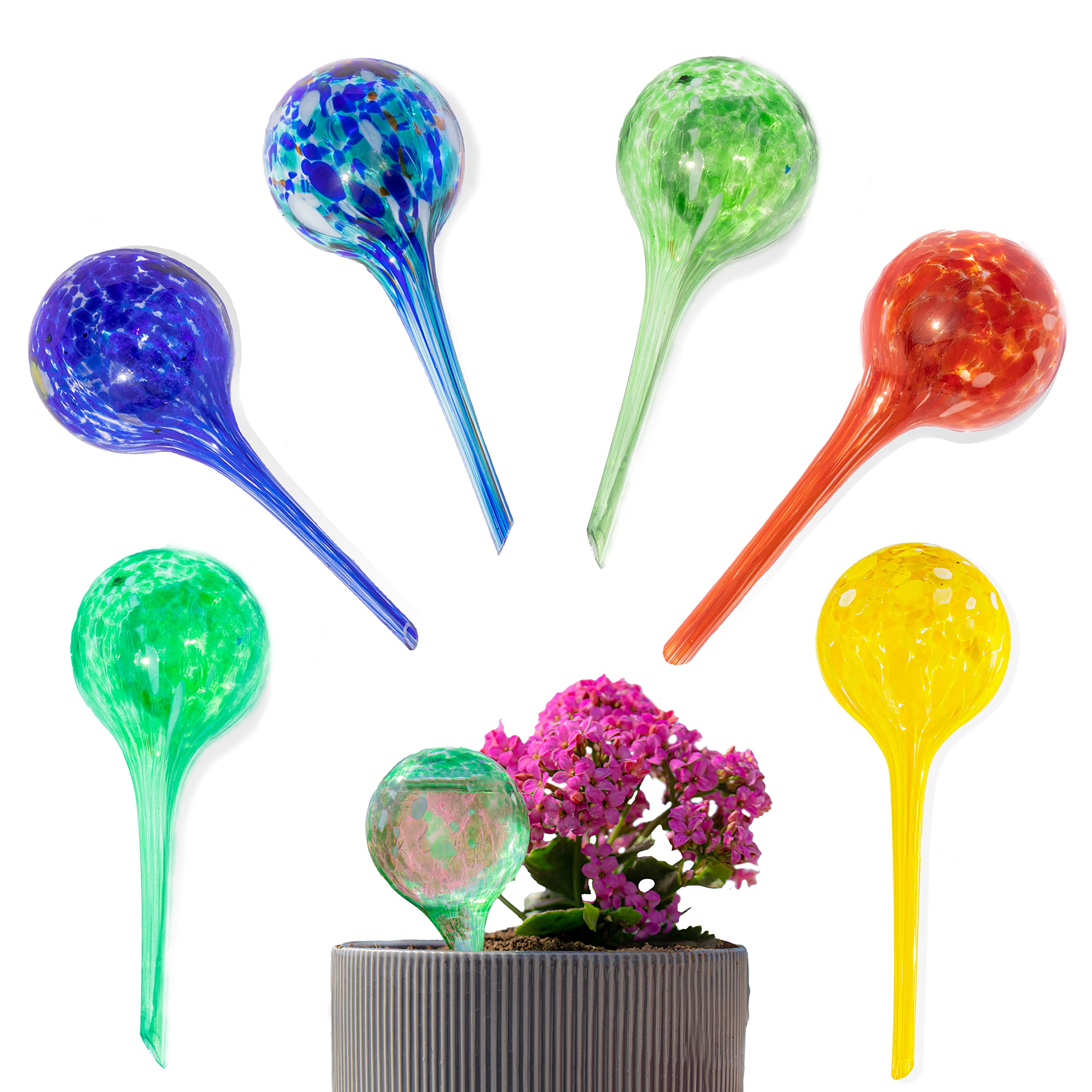 Reifier6-Pack Plant Watering Globes - Self Watering Bulbs for Indoor & Outdoor Plants - Hand-Blown & Colorful Water Globes - Aqua Globes for Plants - Measures 6" L x 2.5" D